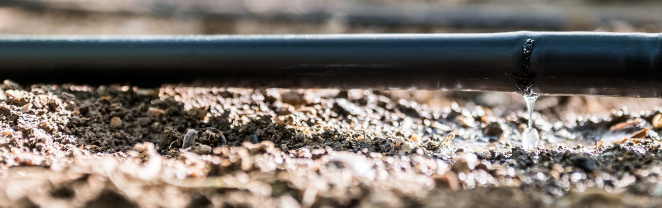 Calitatea apei pentru microirigare