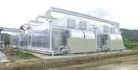 Cultivare de precizie în sera Mother Plant a cramei