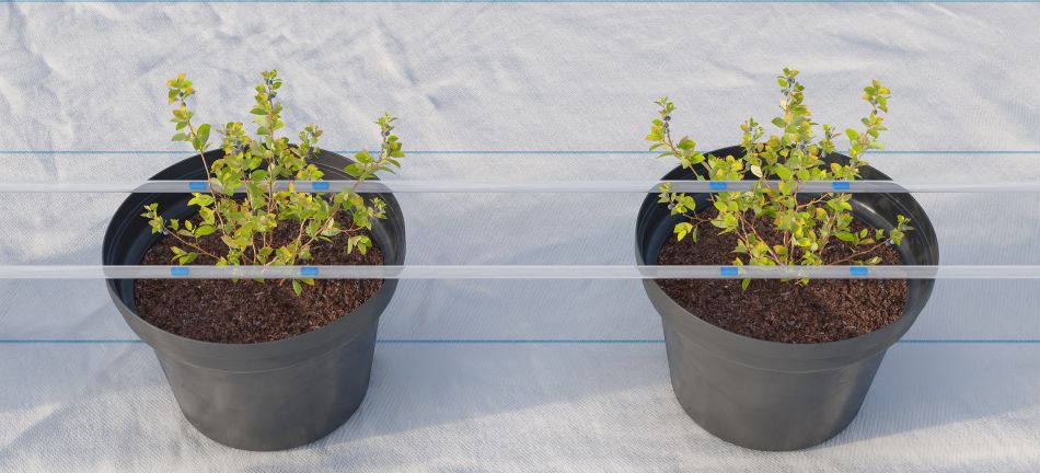 Inbar ClusterDrip – personalizat pentru growbag-uri