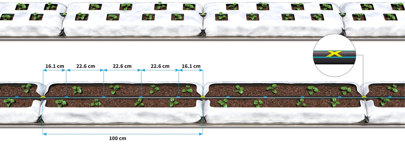 InbarRGX-Growbags irigare precisă