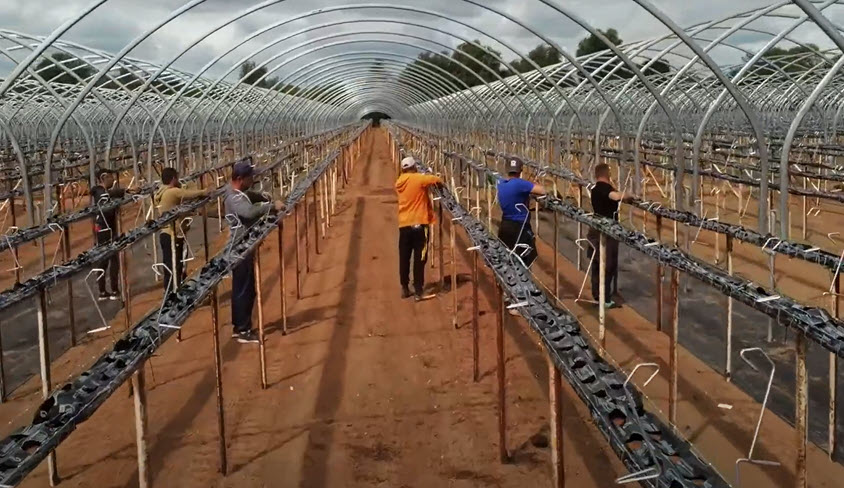 InbarRGX-Growbags irigare precisă